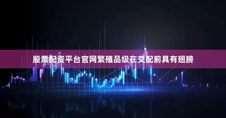 股票配资平台官网繁殖品级在交配前具有翅膀