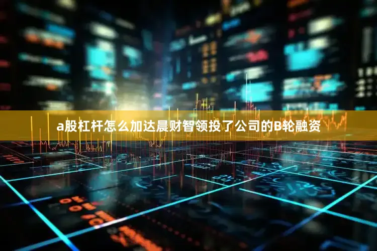 a股杠杆怎么加达晨财智领投了公司的B轮融资