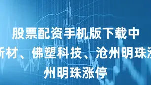 股票配资手机版下载中仑新材、佛塑科技、沧州明珠涨停